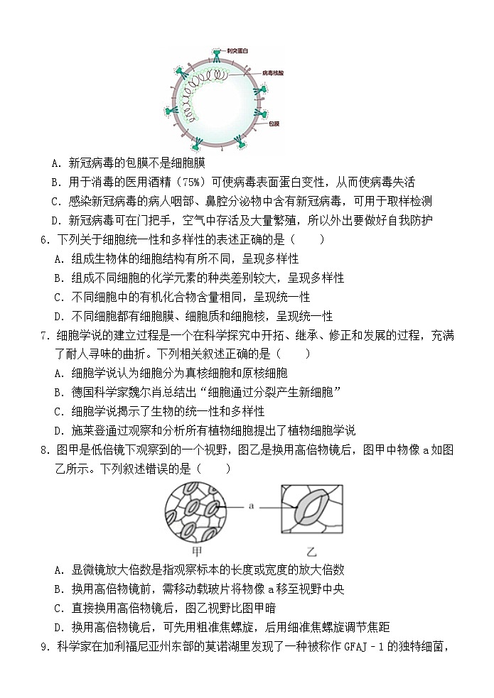 湖北省重点高中智学联盟2022-2023学年高一上学期10月联考生物试题第2页