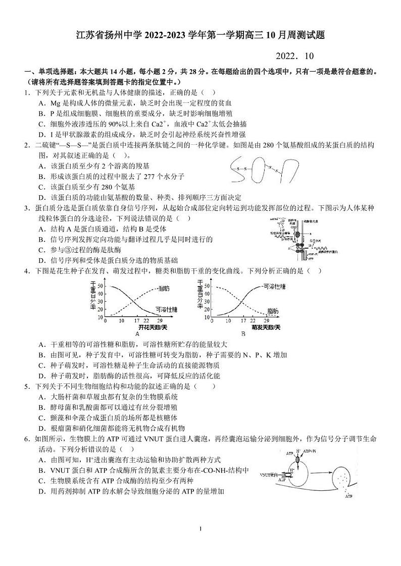 江苏省扬州中学2022-2023学年高三上学期10月双周练生物试题PDF版无答案第1页