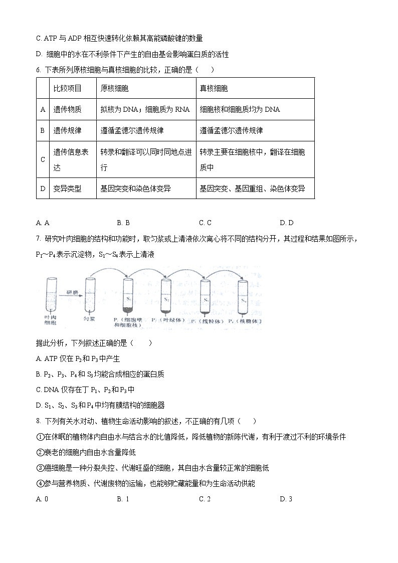 2023晋中平遥县二中高三上学期8月考试生物试题含答案第2页
