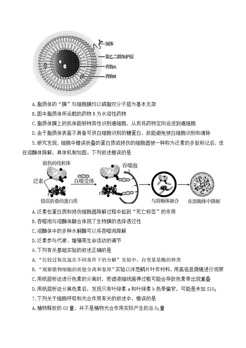 湖北省智学联盟2023届高三10月联考生物试卷 无答案第2页
