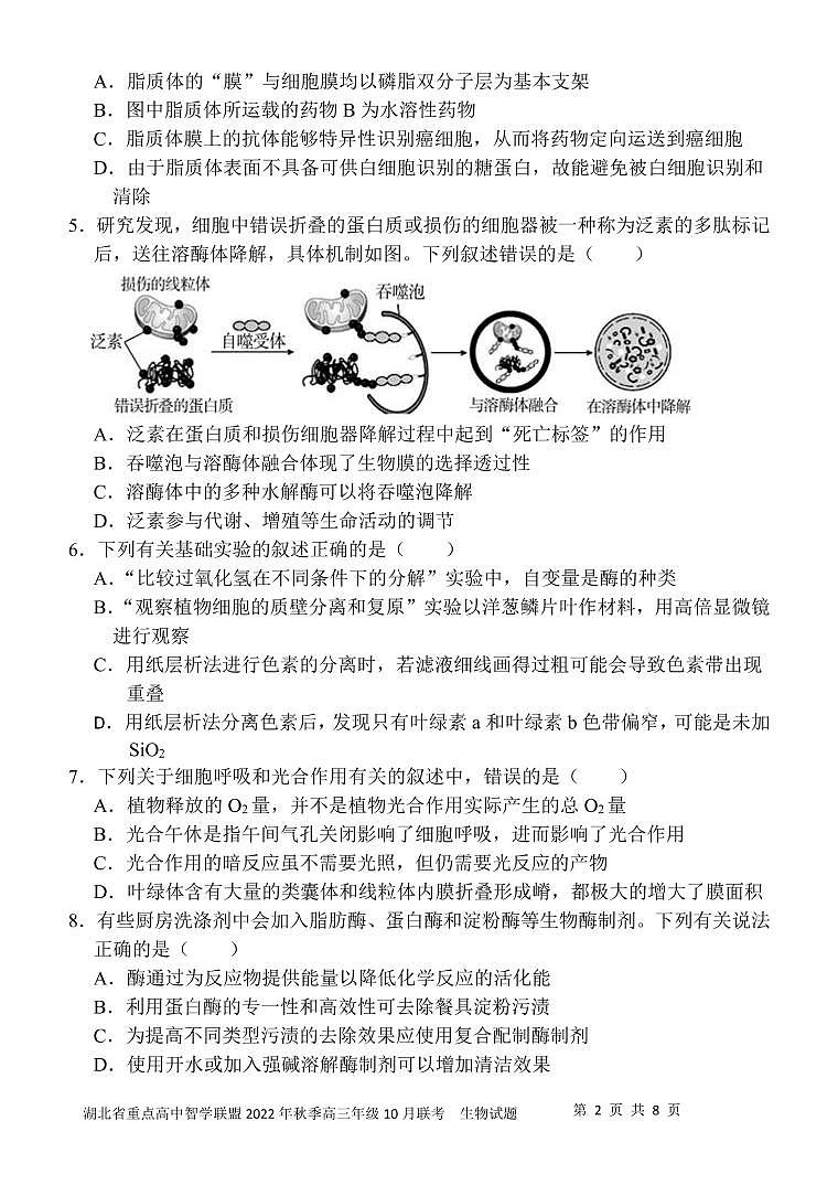 湖北省智学联盟2023届高三10月联考生物试卷第2页