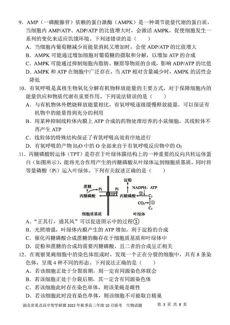 湖北省智学联盟2023届高三10月联考生物试卷第3页
