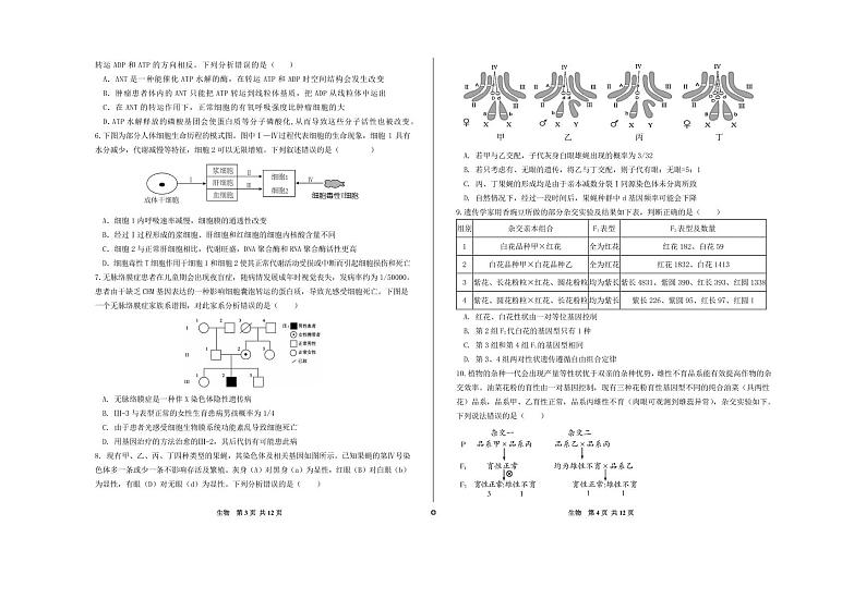 高三生物试题第2页
