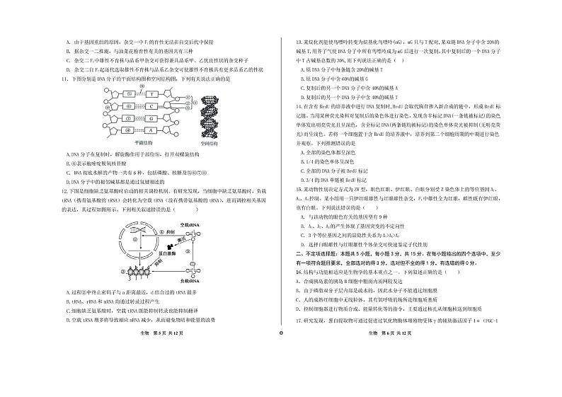 高三生物试题第3页