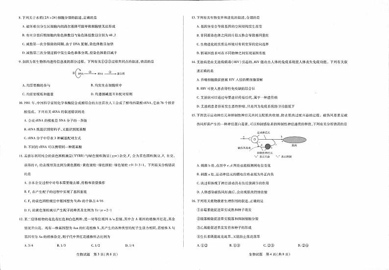 天一联考2019届高三毕业班阶段性测试（一）生物试卷（PDF版）第2页