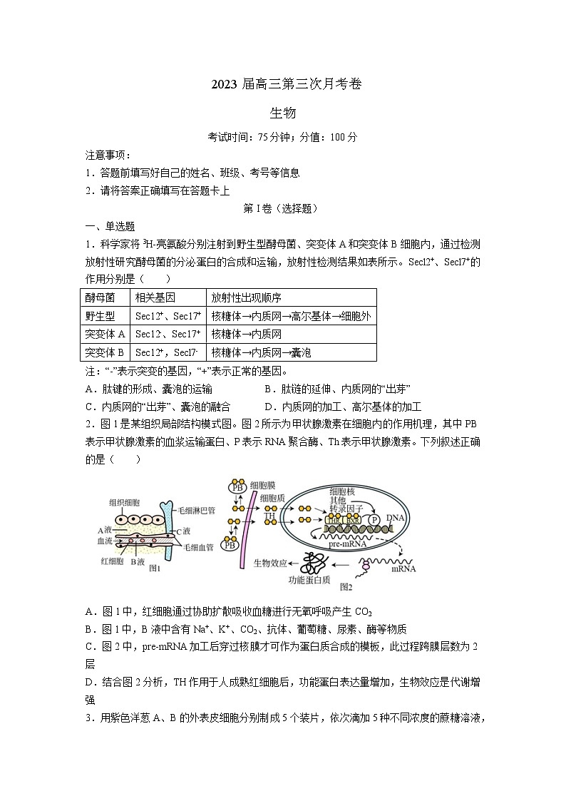 2023届湖南省衡阳市第八中学高三上学期第三次月考-生物（word版） 试卷01