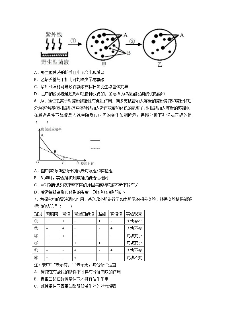2023届湖南省衡阳市第八中学高三上学期第三次月考-生物（word版） 试卷03