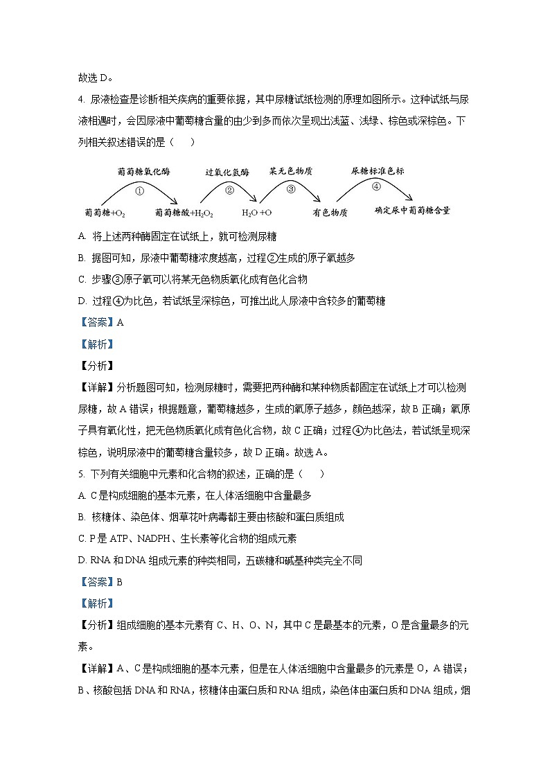 黑龙江省哈尔滨师范大学附中2022-2023学年高三生物9月月考试题（Word版附答案）03