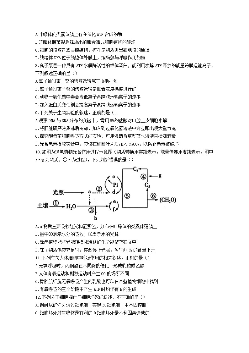 甘肃省张掖市2022-2023学年高三生物上学期第一次诊断考试试题（Word版附答案）02
