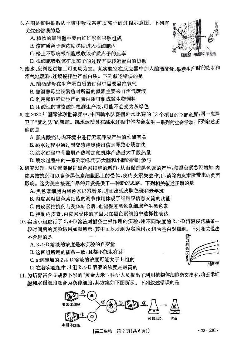 广东省部分学校2023届高三生物上学期10月联考试题（PDF版附答案）第2页