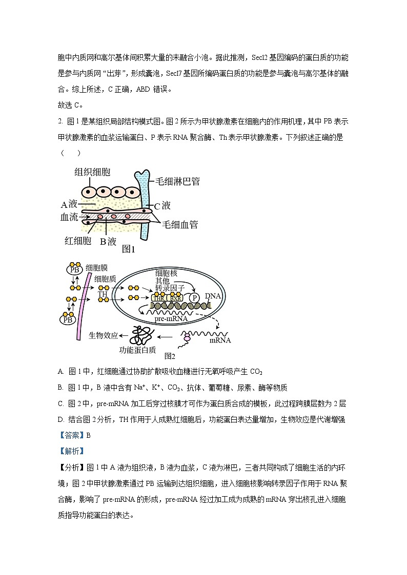 湖南省邵阳市第二中学2022-2023学年高三生物上学期第三次月考试卷（Word版附解析）第2页