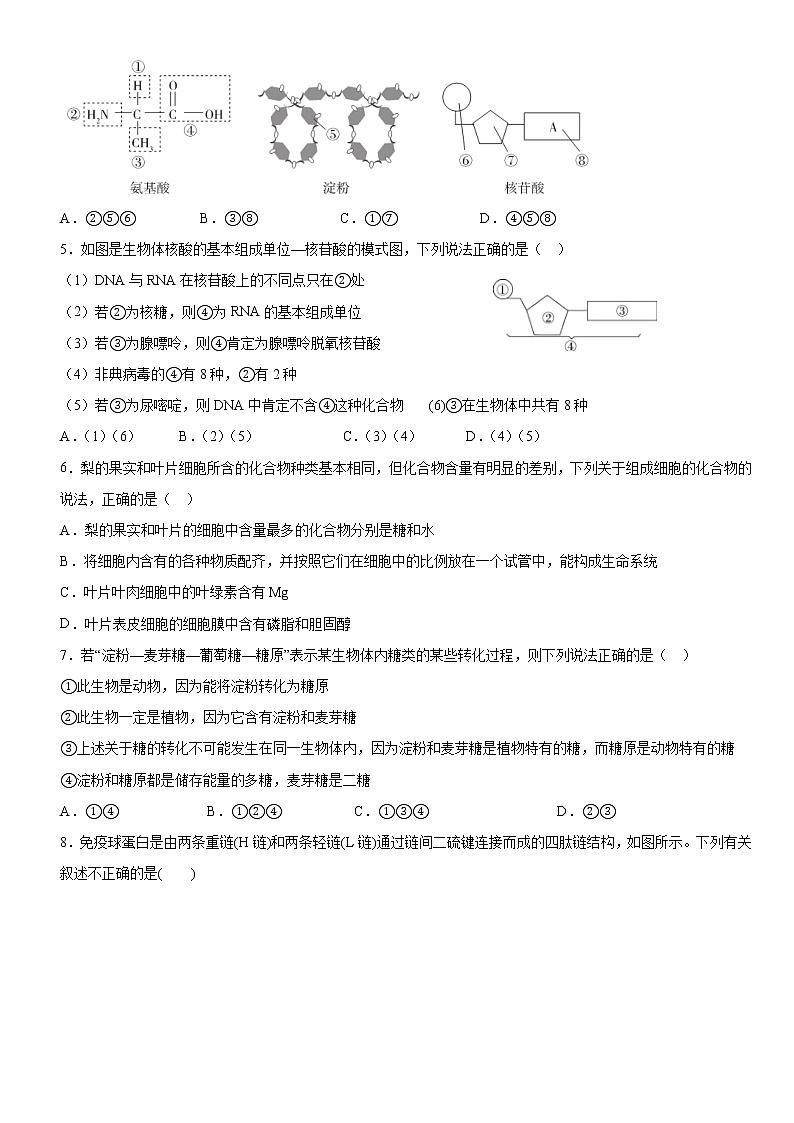 福建省三明市第一中学2023届高三生物上学期第二次月考试题（Word版附答案）02