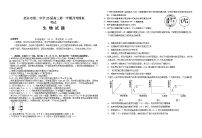 山东省烟台招远市第二中学2023届高三生物上学期9月月考试题（Word版附答案）