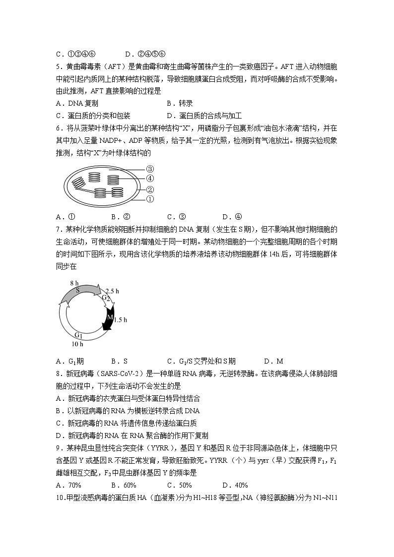 广东省茂名市2022-2023学年高三生物9月大联考试卷（Word版附答案）02