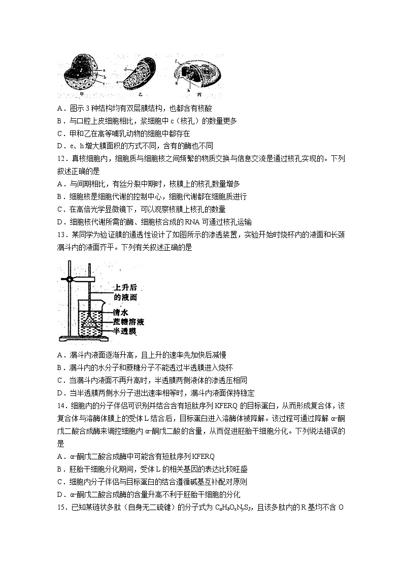 河南省豫南名校2022-2023学年高三生物上学期9月质量检测试题（Word版附答案）03