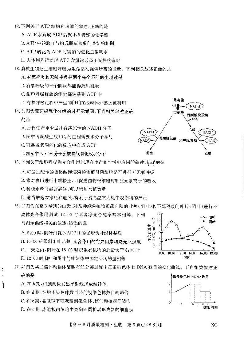 九师联盟2023届高三生物上学期10月联考试题（新高考）（PDF版附解析）03