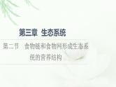 浙科版高中生物选择性必修2第3章第2节食物链和食物网形成生态系统的营养结构课件