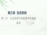 浙科版高中生物选择性必修2第3章第3节生态系统中的能量单向递减流动课件