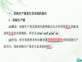 浙科版高中生物选择性必修2第3章第3节生态系统中的能量单向递减流动课件