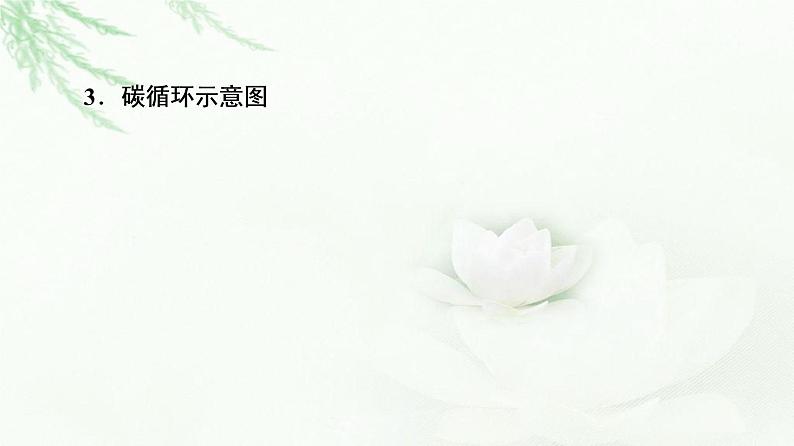 浙科版高中生物选择性必修2第3章第4节生态系统中的物质能被循环利用课件07