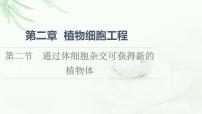 高中生物浙科版 (2019)选择性必修3  生物技术与工程第二节  通过体细胞杂交可获得新的植物体多媒体教学ppt课件