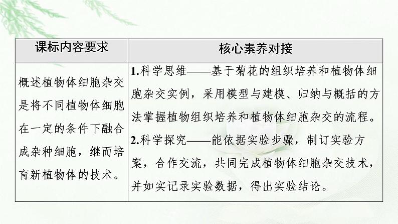 浙科版高中生物选择性必修3第2章第2节通过体细胞杂交可获得新的植物体课件第2页