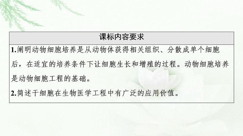 浙科版高中生物选择性必修3第3章第1节细胞培养是动物细胞工程的基础课件02