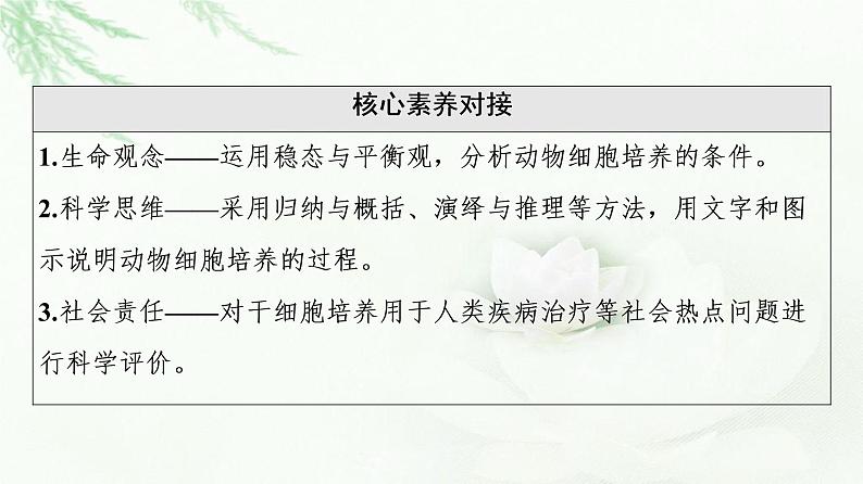 浙科版高中生物选择性必修3第3章第1节细胞培养是动物细胞工程的基础课件03