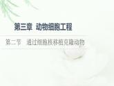 浙科版高中生物选择性必修3第3章第2节通过细胞核移植克隆动物课件