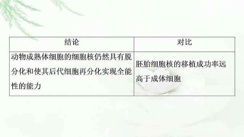 浙科版高中生物选择性必修3第3章第2节通过细胞核移植克隆动物课件08