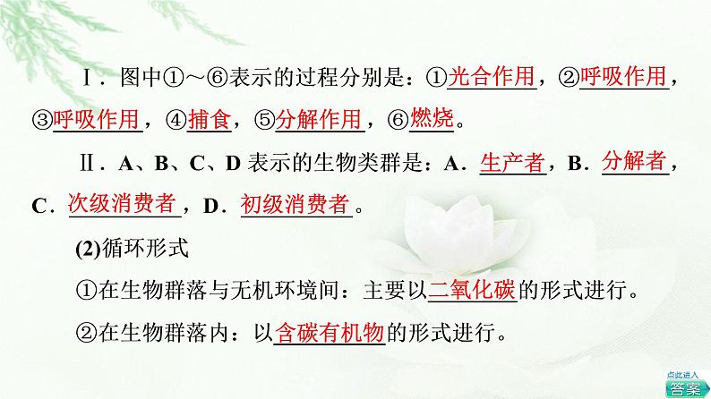 苏教版高中生物选择性必修2第3章第3节生态系统的物质循环课件07