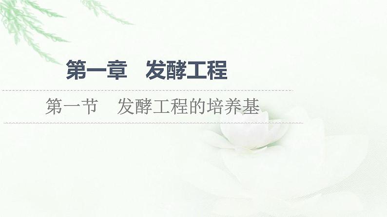 苏教版高中生物选择性必修3第1章第1节发酵工程的培养基课件01