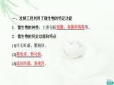苏教版高中生物选择性必修3第1章第4节发酵工程及其应用课件