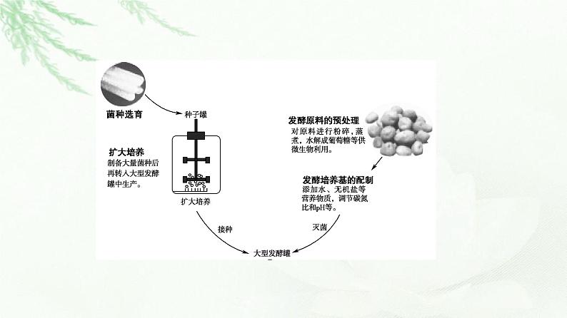 苏教版高中生物选择性必修3第1章第4节发酵工程及其应用课件第7页