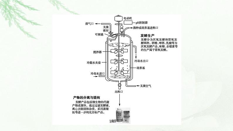 苏教版高中生物选择性必修3第1章第4节发酵工程及其应用课件第8页