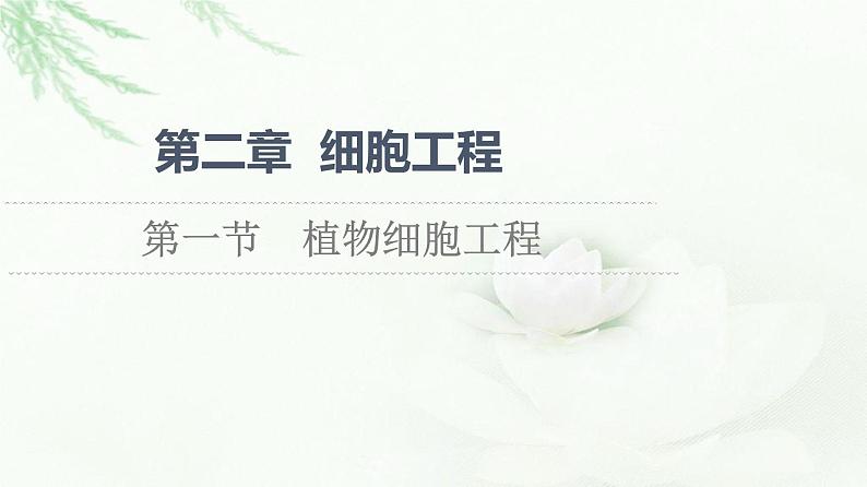 苏教版高中生物选择性必修3第2章第1节植物细胞工程课件第1页