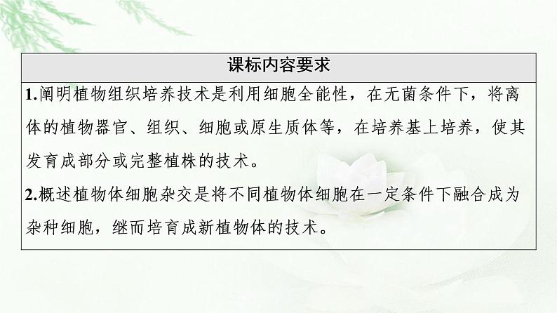 苏教版高中生物选择性必修3第2章第1节植物细胞工程课件第2页