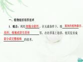 苏教版高中生物选择性必修3第2章第1节植物细胞工程课件