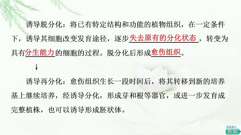 苏教版高中生物选择性必修3第2章第1节植物细胞工程课件第8页