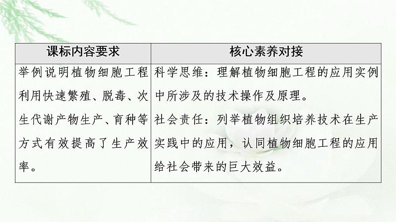 苏教版高中生物选择性必修3第2章第2节植物细胞工程的应用课件02