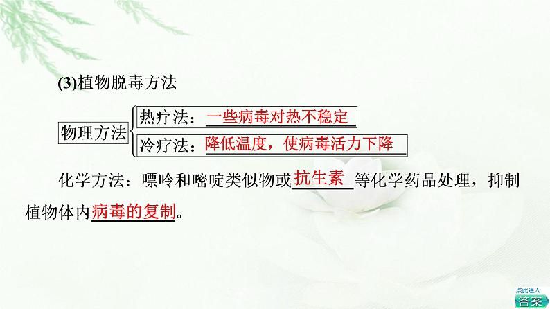 苏教版高中生物选择性必修3第2章第2节植物细胞工程的应用课件08