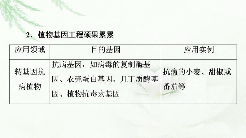 苏教版高中生物选择性必修3第3章第2节基因工程的应用价值课件第5页