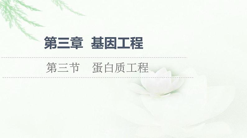 苏教版高中生物选择性必修3第3章第3节蛋白质工程课件01