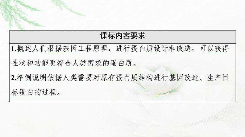 苏教版高中生物选择性必修3第3章第3节蛋白质工程课件02