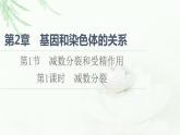 人教版高中生物必修2第2章第1节第1课时减数分裂课件