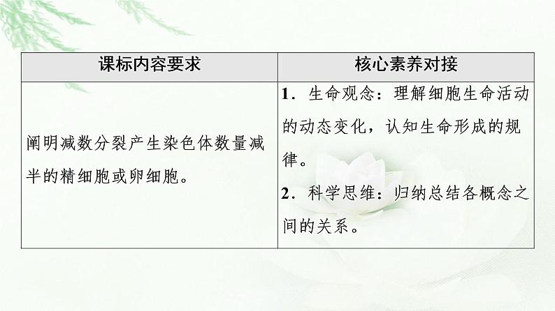 人教版高中生物必修2第2章第1节第1课时减数分裂课件02