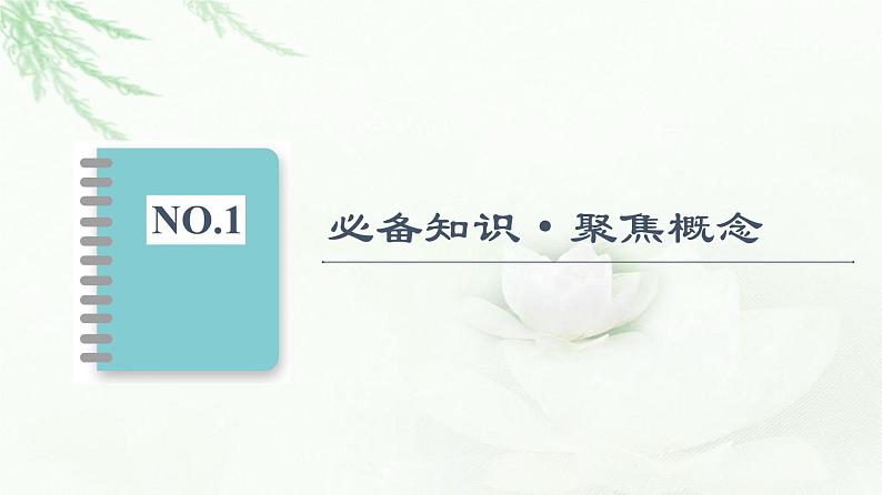 人教版高中生物必修2第2章第1节第1课时减数分裂课件03