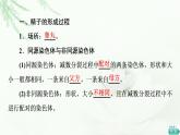 人教版高中生物必修2第2章第1节第1课时减数分裂课件