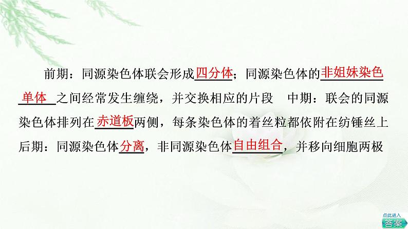 人教版高中生物必修2第2章第1节第1课时减数分裂课件07