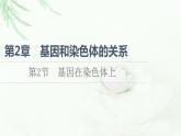 人教版高中生物必修2第2章第2节基因在染色体上课件